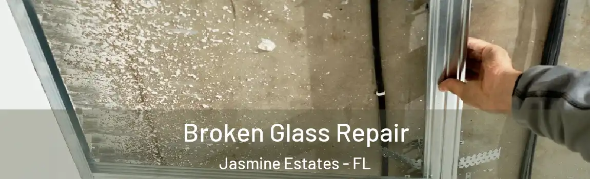 Broken Glass Repair Jasmine Estates - FL
