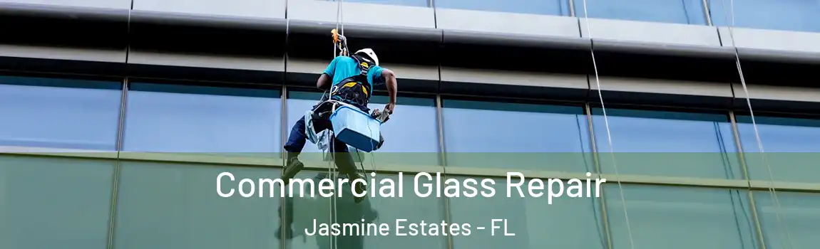  Commercial Glass Repair Jasmine Estates - FL