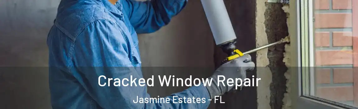  Cracked Window Repair Jasmine Estates - FL