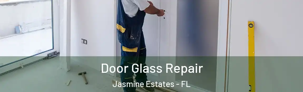  Door Glass Repair Jasmine Estates - FL