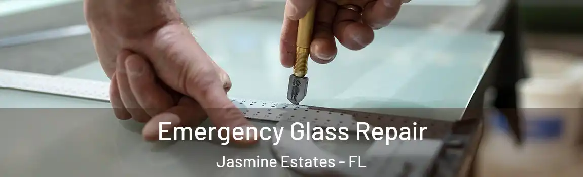  Emergency Glass Repair Jasmine Estates - FL