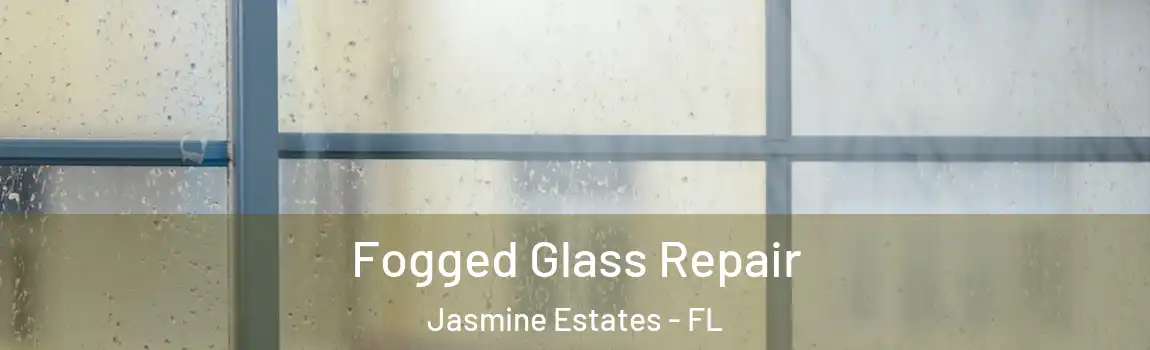  Fogged Glass Repair Jasmine Estates - FL