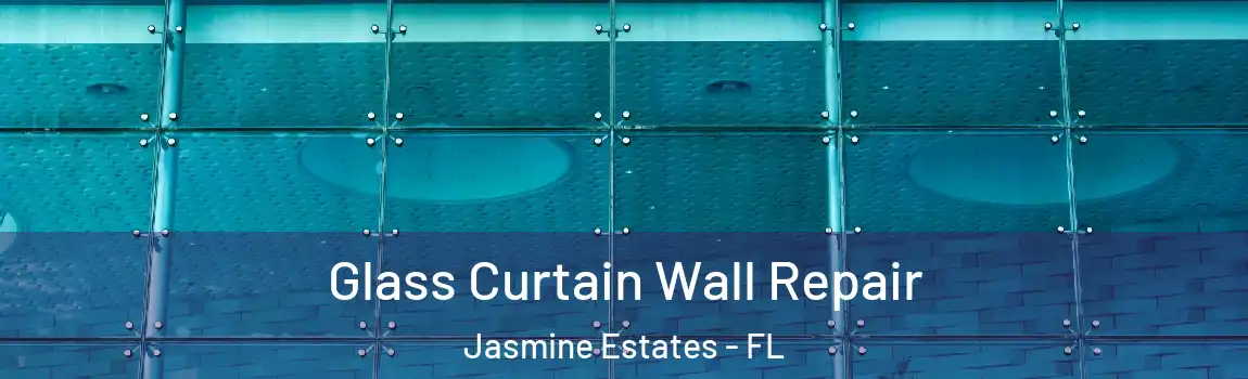 Glass Curtain Wall Repair Jasmine Estates - FL