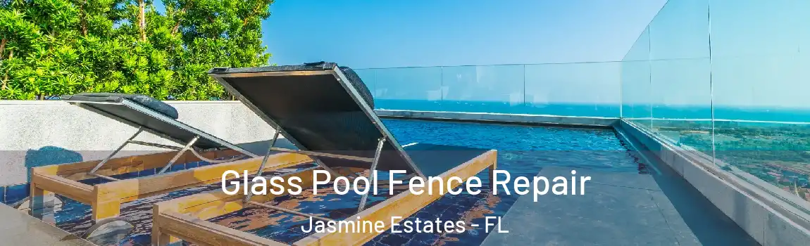  Glass Pool Fence Repair Jasmine Estates - FL