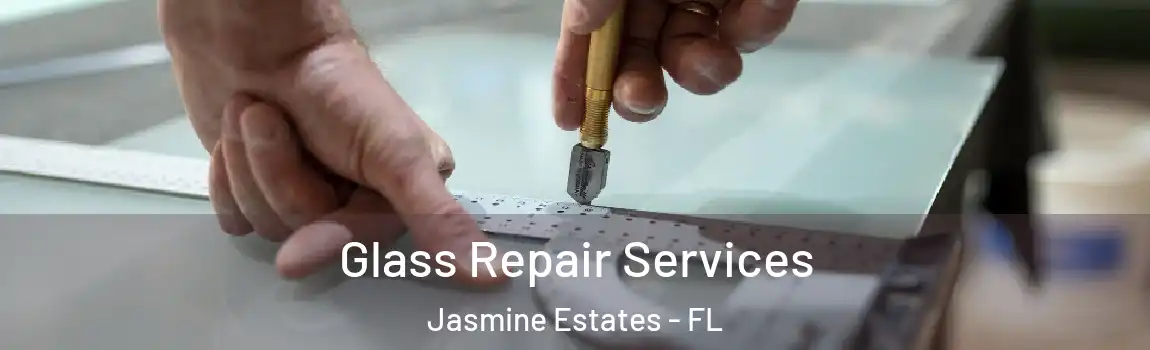  Glass Repair Services Jasmine Estates - FL