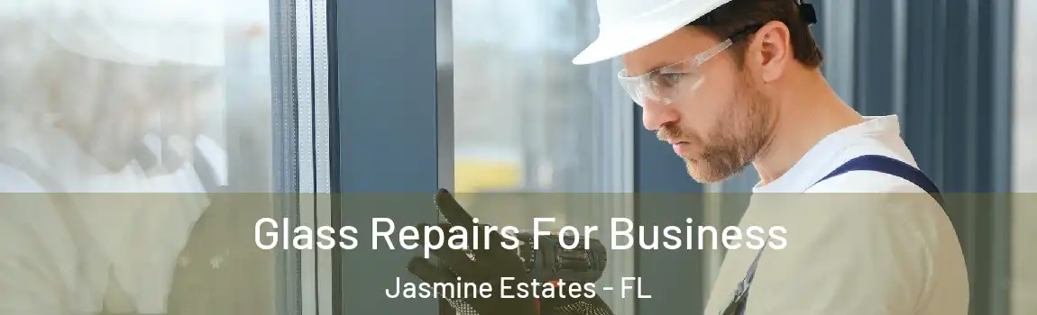  Glass Repairs For Business Jasmine Estates - FL