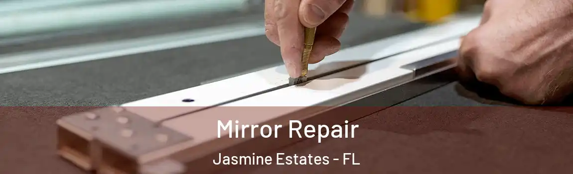  Mirror Repair Jasmine Estates - FL