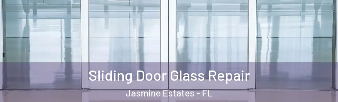 Sliding Door Glass Repair Jasmine Estates - FL