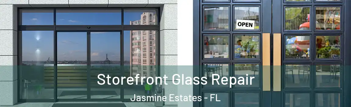  Storefront Glass Repair Jasmine Estates - FL