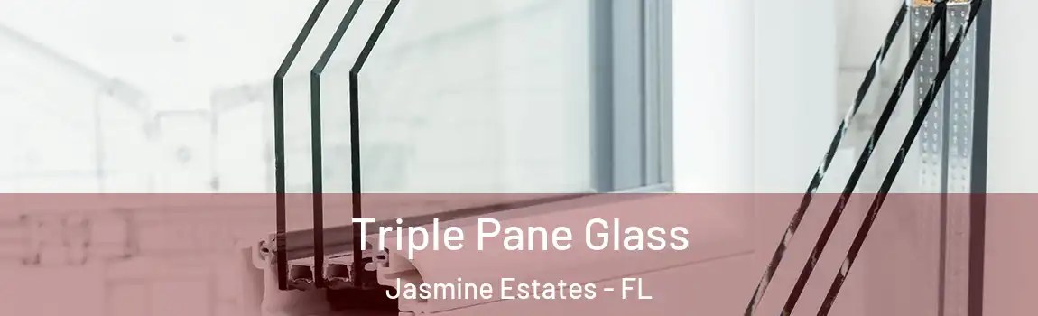  Triple Pane Glass Jasmine Estates - FL