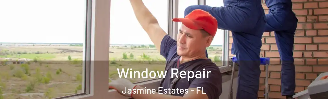  Window Repair Jasmine Estates - FL