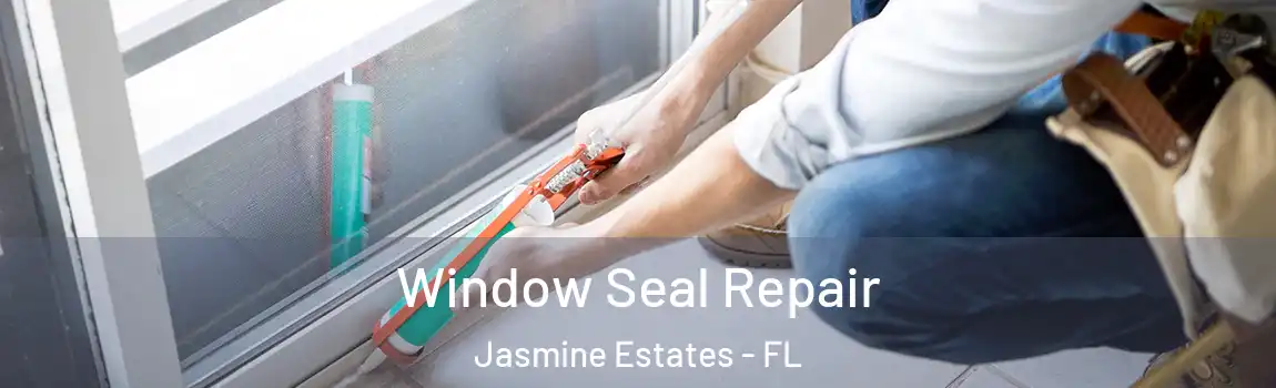 Window Seal Repair Jasmine Estates - FL